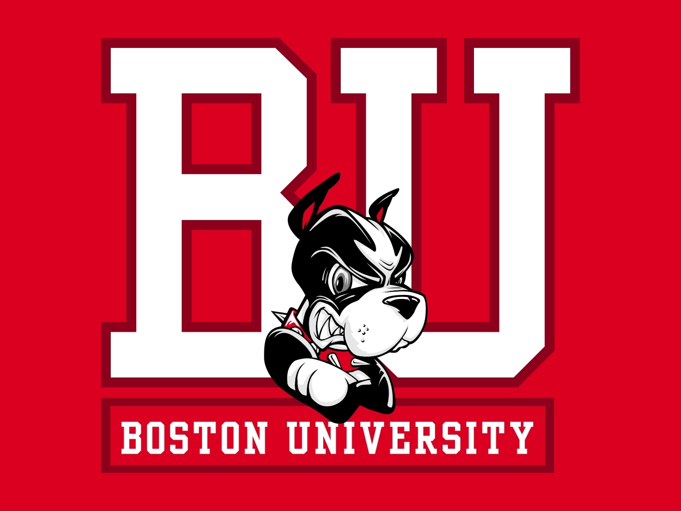 BU Online Master of Science in Applied Business Analytics