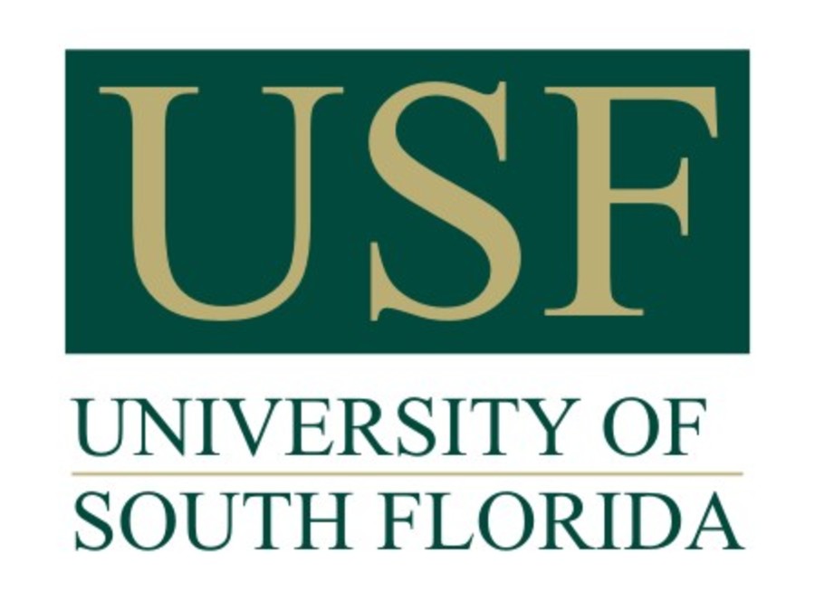 USF Certificate in Business Analytics Online
