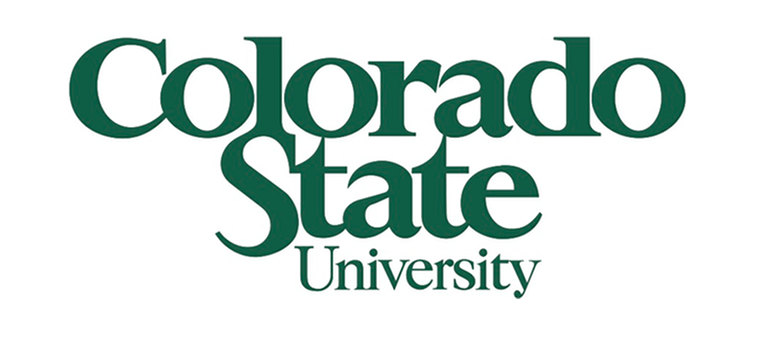Colorado State Online MBA, Marketing Data Analytics