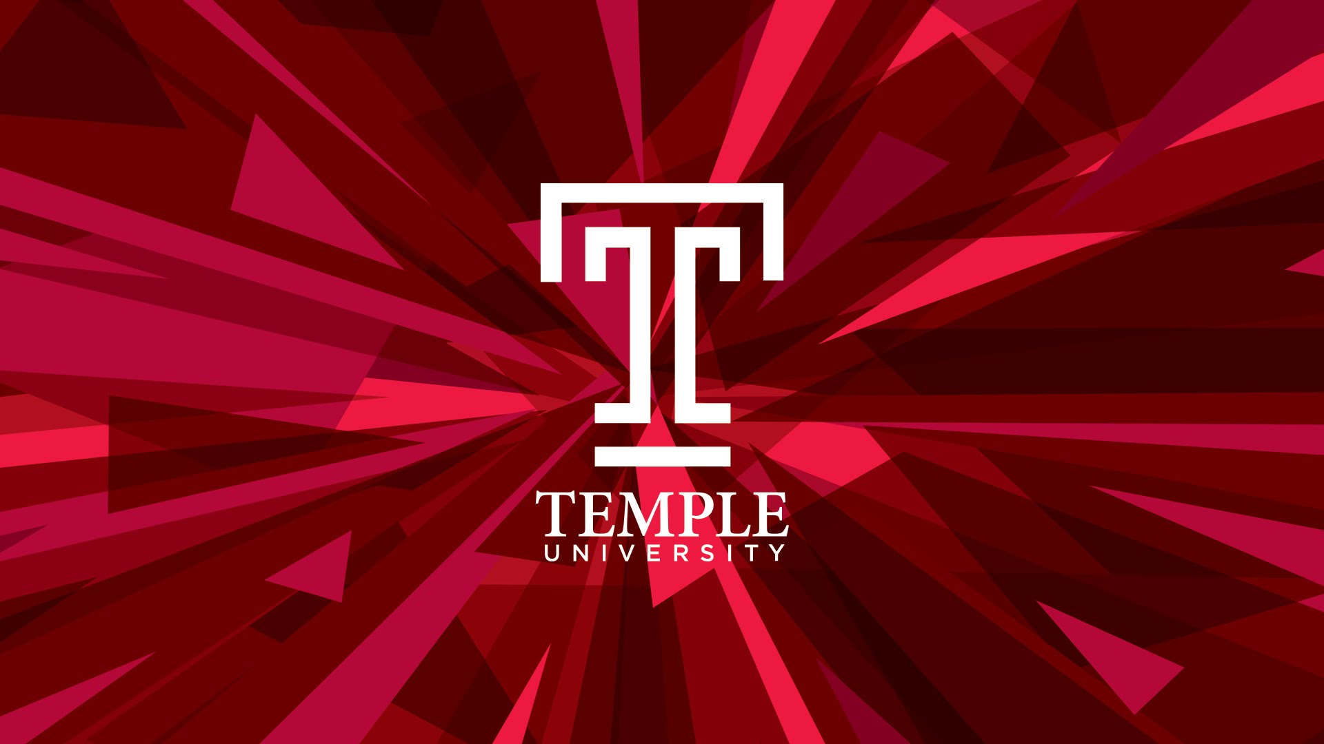 Temple University Online MS in Marketing-Marketing Research and Insight