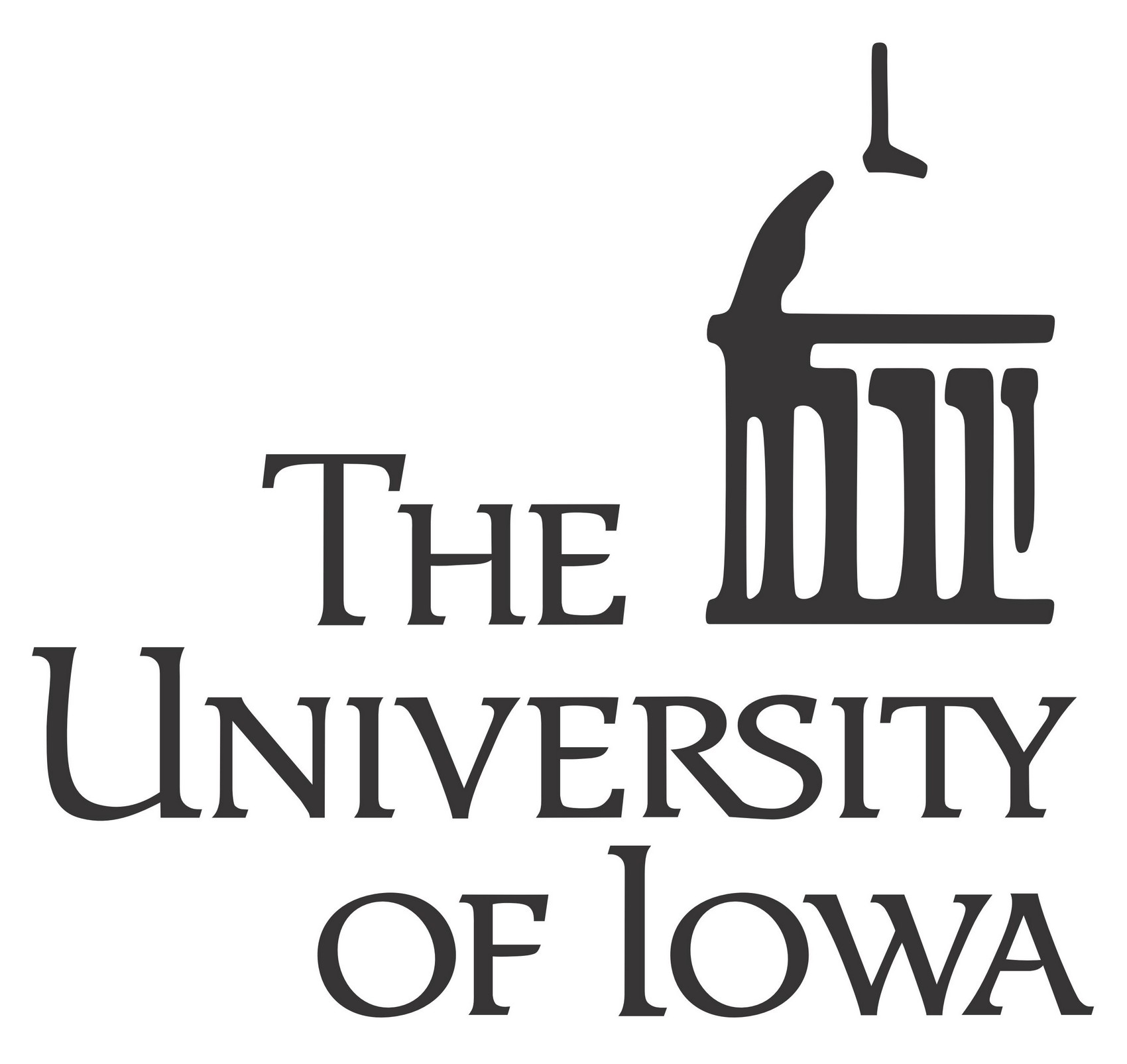 University of Iowa Bachelor's in Data Science